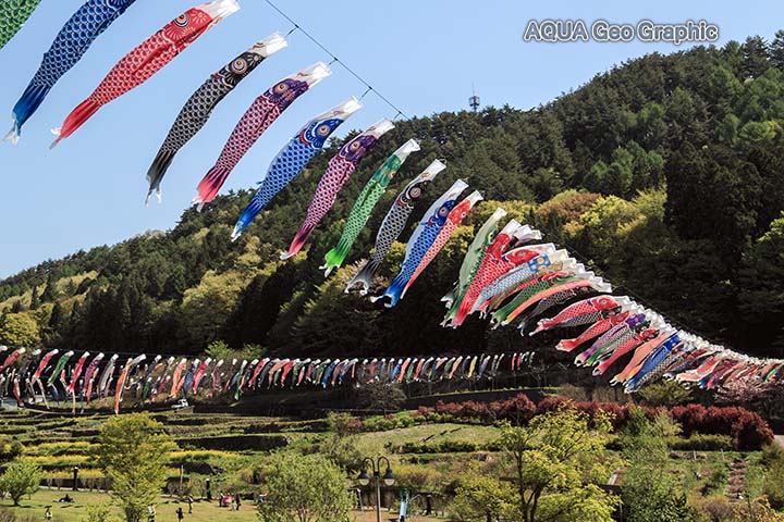 鯉のぼり 鯉幟 道の駅「南きよさと」