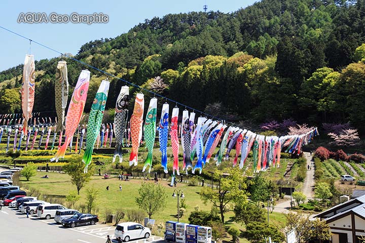 鯉のぼり 鯉幟 道の駅「南きよさと」