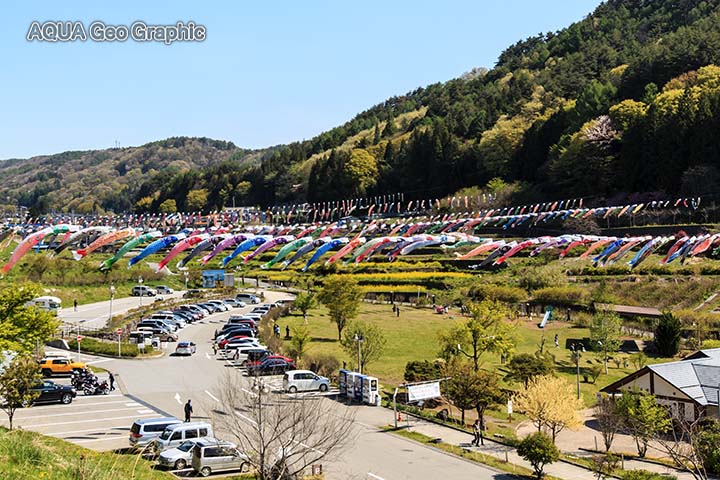 鯉のぼり 鯉幟 道の駅「南きよさと」