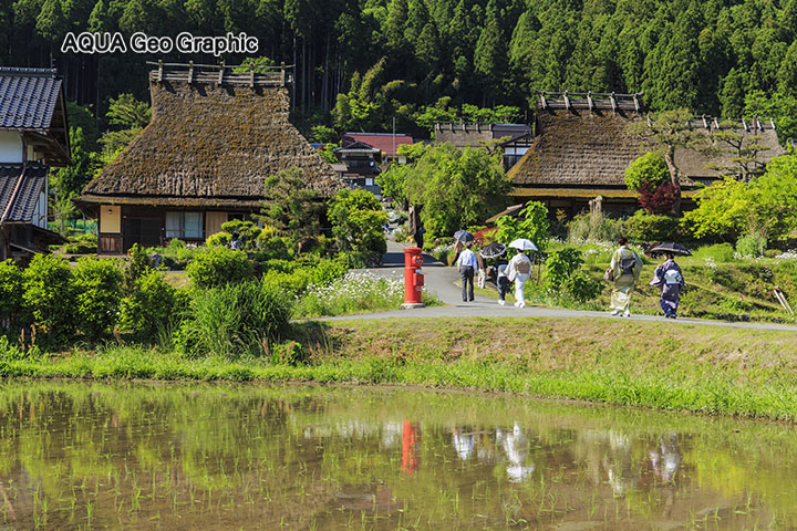 新緑　京都 美山「かやぶきの里」