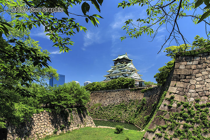 新緑　大阪城　天守閣