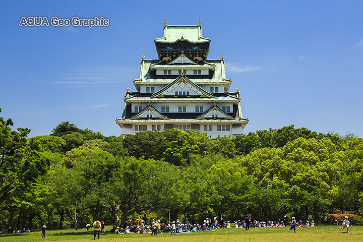 新緑　大阪城　天守閣