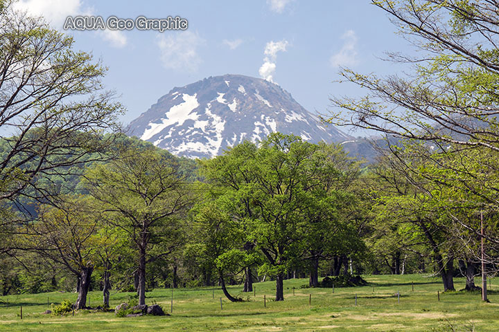 新緑の笹ヶ峰高原　新潟焼岳　噴煙
