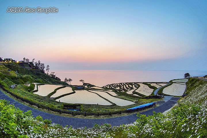 白米千枚田　能登半島　夕焼け