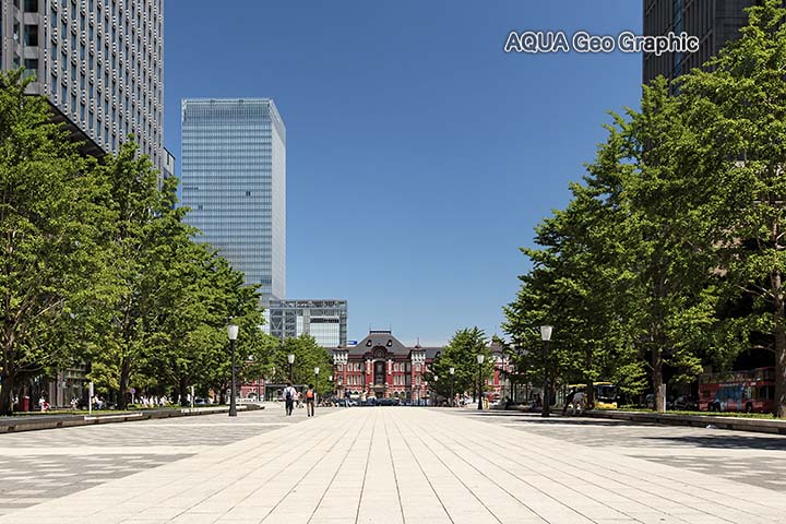 新緑 東京 東京駅 丸の内