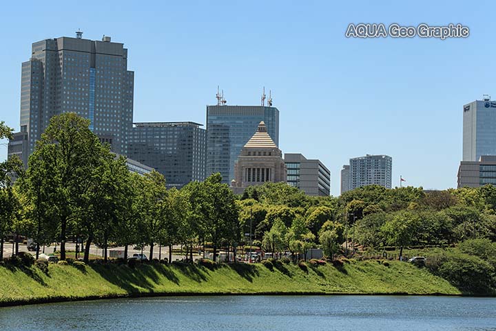 新緑 東京 国会議事堂