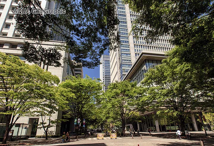 新緑 東京 丸の内