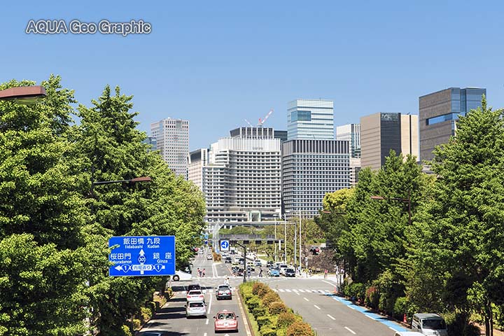 新緑 東京 丸の内 日比谷