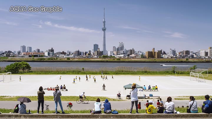 東京の新緑 東京スカイツリー 荒川土手