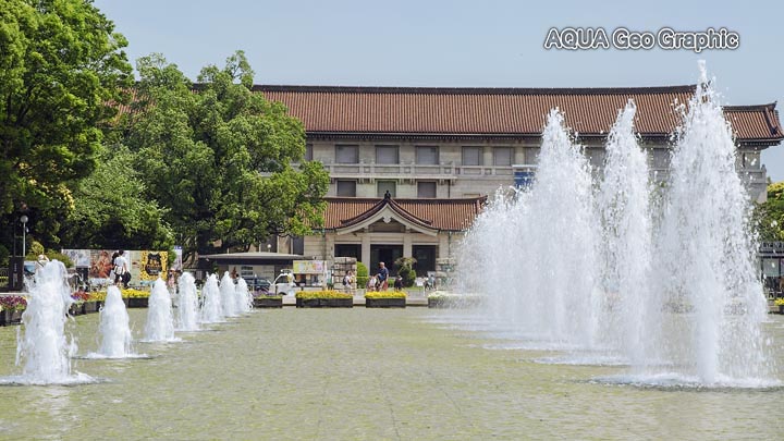 東京の新緑 東京国立博物館　上野公園