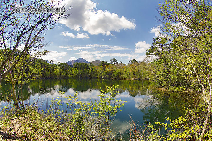 裏磐梯　バヤ池