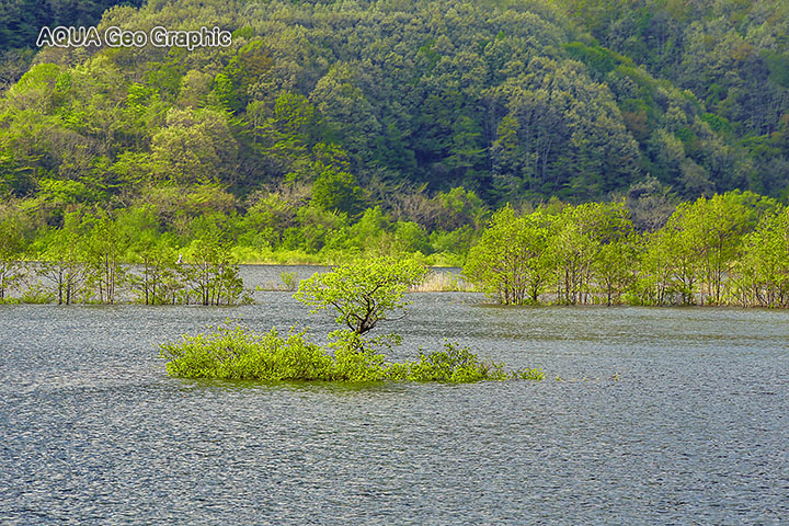 裏磐梯　秋元湖
