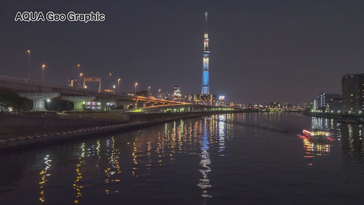 ソニー Sonyα7R II 高感度動画　東京夜景　東京スカイツリー
