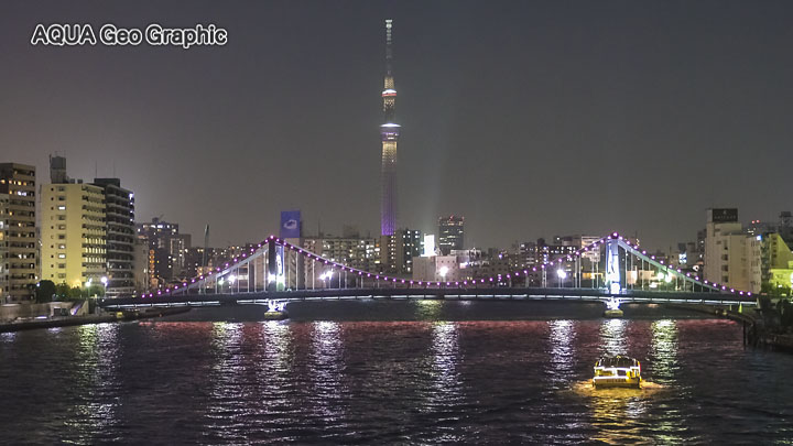 ソニー Sonyα7R II 高感度動画　東京夜景　東京スカイツリー 