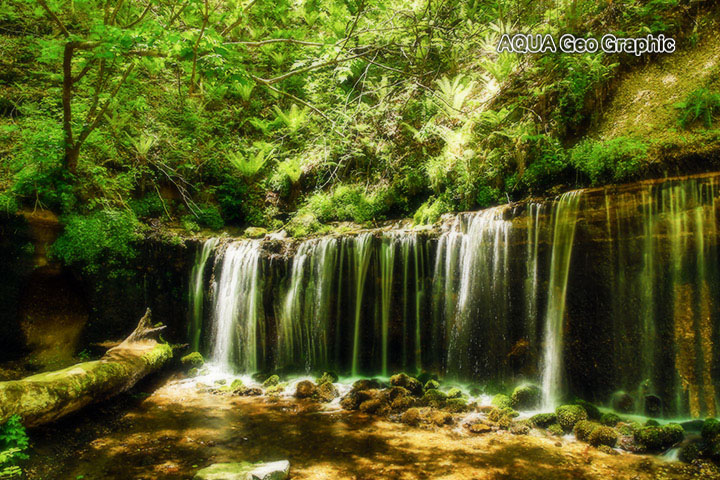 新緑の滝　軽井沢 白糸の滝