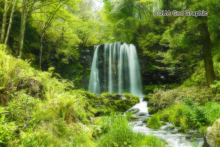 新緑の滝　菅平 唐沢の滝