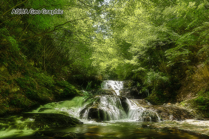 新緑の滝　北軽井沢 魚止めの滝