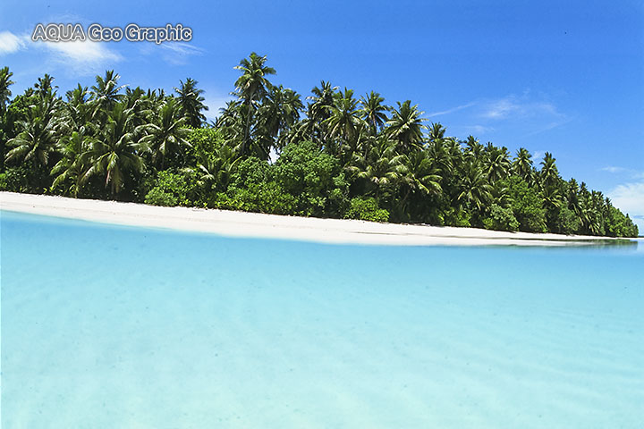 ポナペ ポンペイ ミクロネシア連峰 アンツ環礁