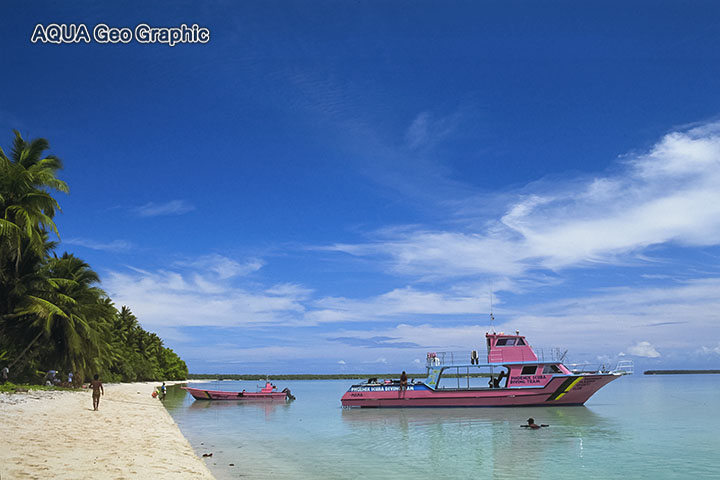 ポナペ ポンペイ ミクロネシア連峰 アンツ環礁