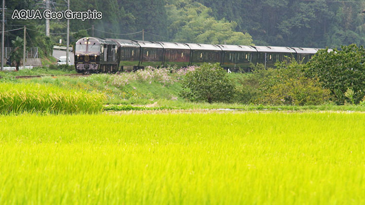 リゾート観光列車 クルーズトレイン「ななつ星in九州」