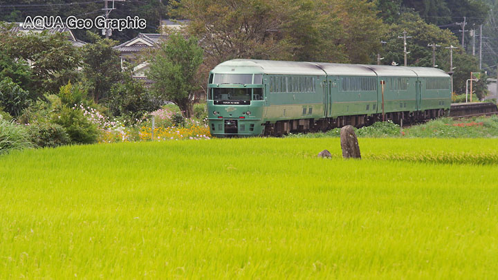 リゾート観光列車 特急「ゆふいんの森」号