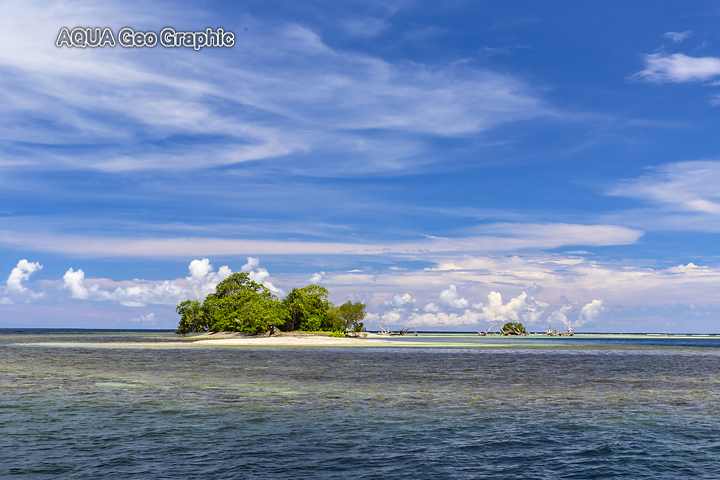 Pohnpei Ros Island Micronesia FSM ミクロネシア　ポナペ島　ポンペイ島　マンタ　南の島 無人島　ロス