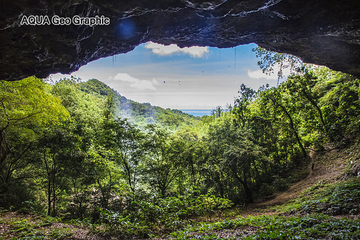 パーンチャカイの滝 Pohnpei Micronesia FSM ミクロネシア　ポナペ島　ポンペイ島　無人島 南国リゾート