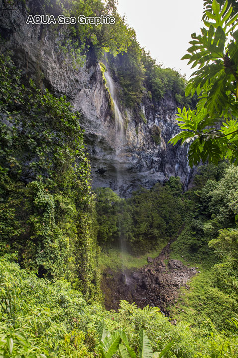 パーンチャカイの滝 Pohnpei Micronesia FSM ミクロネシア　ポナペ島　ポンペイ島　無人島 南国リゾート