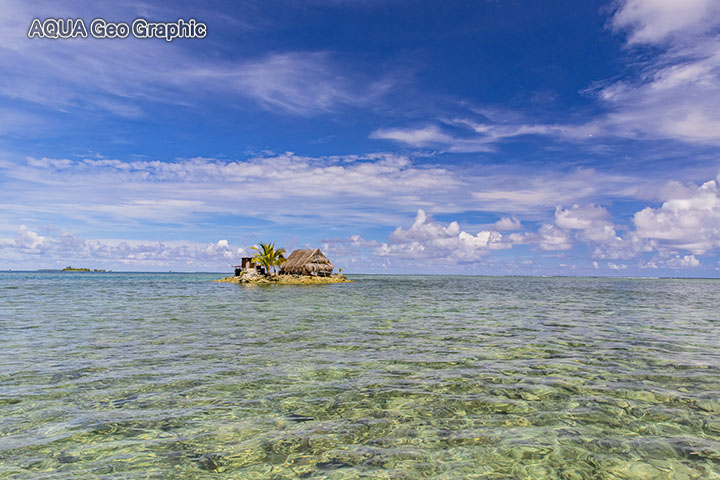 Pohnpei Micronesia FSM ミクロネシア　ポナペ島　ポンペイ島　無人島 南国リゾート