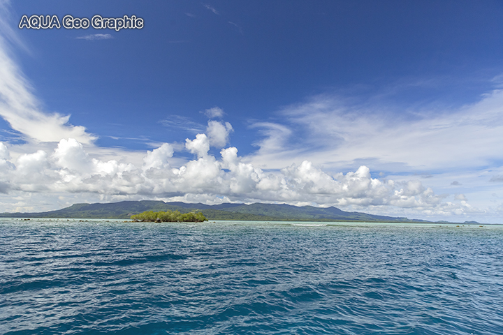 Pohnpei Micronesia FSM ミクロネシア　ポナペ島　ポンペイ島　無人島 南国リゾート