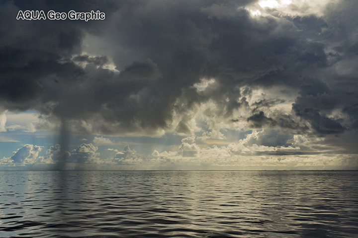 Pohnpei Micronesia FSM ミクロネシア　ポナペ島　ポンペイ島　無人島 南国リゾート