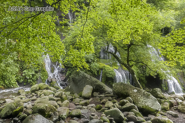 吐竜の滝と原生林の森