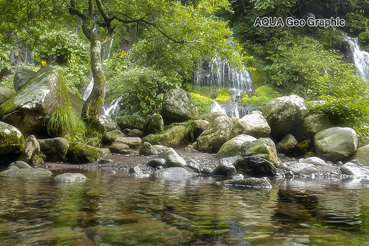 吐竜の滝と原生林の森