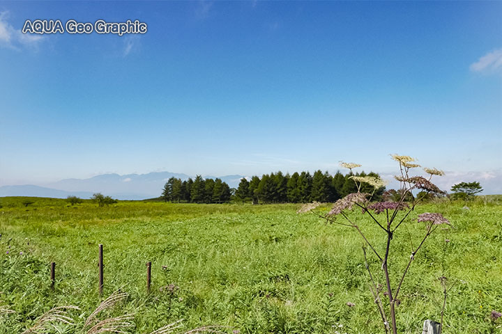 晩夏の霧ヶ峰高原