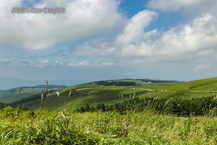晩夏の霧ヶ峰高原