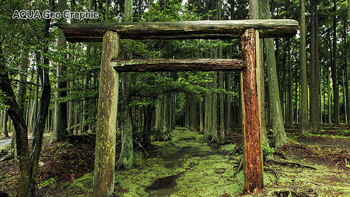伊豆大島 観光スポット　撮影ポイント　泉津　波治加麻神社
