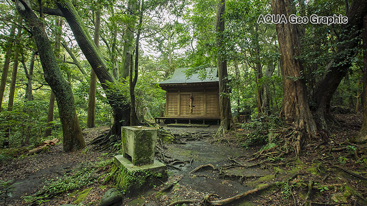 伊豆大島 観光スポット　撮影ポイント　泉津　波治加麻神社