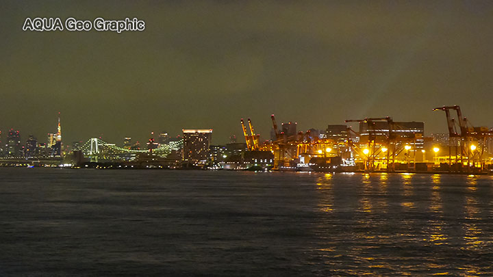 伊豆大島 東海汽船 東京湾夜景 東京湾ナイトクルーズ レインボーブリッジ