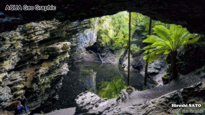 タスマニア オーストラリア 絶景 レインフォレスト ターキン Rainforest Tarkine tasmania