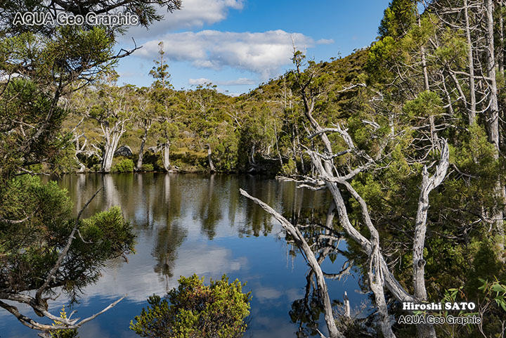 タスマニア オーストラリア 絶景 世界遺産 世界自然遺産 クレイドルマウンテン