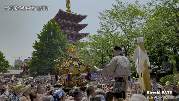 浅草の三社祭（浅草神社例大祭）
