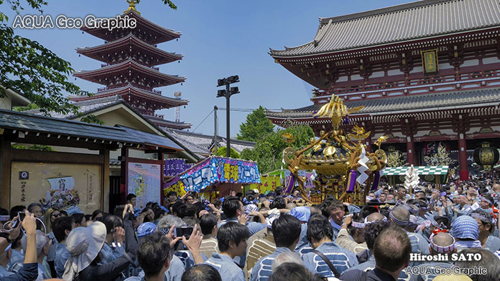 浅草の三社祭（浅草神社例大祭）