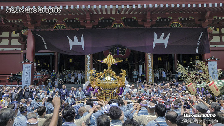 浅草の三社祭（浅草神社例大祭）