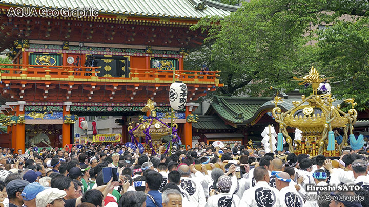 神田祭 宮入 お神輿 江戸三大祭り 日本の三大祭り Panasonic lumix GH5
