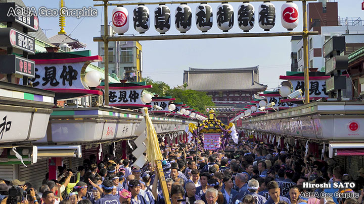 浅草 三社祭（浅草神社例大祭） 本社神輿各町渡御