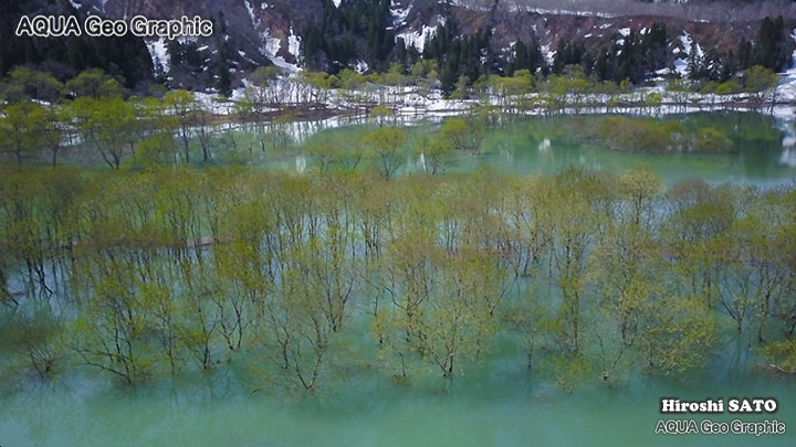 絶景空撮 白川湖 白川ダム 新緑  Aerial Drone Shots 絶景 dji mavicc pro