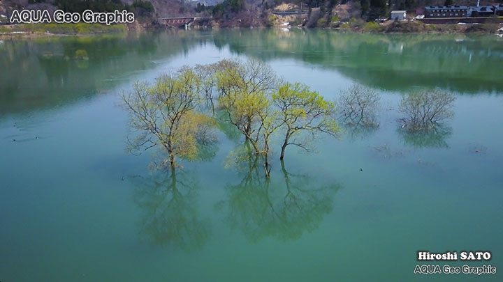 絶景空撮 白川湖 白川ダム 新緑  Aerial Drone Shots 絶景 dji mavicc pro