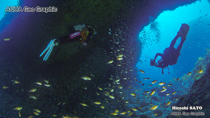 トリプルアーチ　伊豆大島　伊豆諸島　伊豆七島　水中撮影　水中映像　水中写真 多摩島しょ部