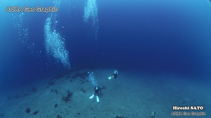 秋の浜 ダイビング ダイバー　伊豆大島　伊豆諸島　伊豆七島　水中撮影　水中映像　水中写真 多摩島しょ部