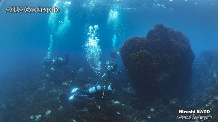 秋の浜 ダイビング ダイバー　伊豆大島　伊豆諸島　伊豆七島　水中撮影　水中映像　水中写真 多摩島しょ部